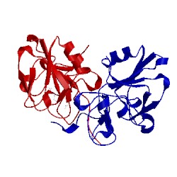 Image of CATH 5cp9