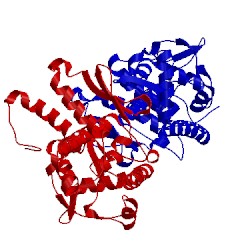 Image of CATH 5cpc
