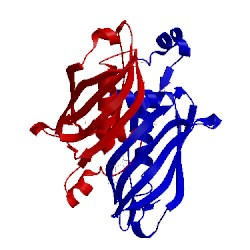 Image of CATH 5cpg