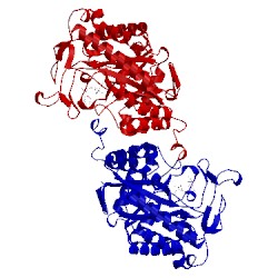Image of CATH 5cpm