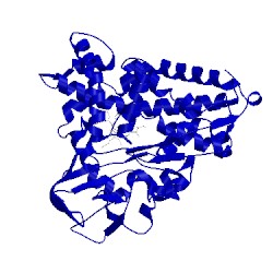 Image of CATH 5cpp