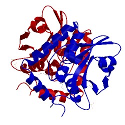 Image of CATH 5cra