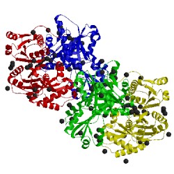 Image of CATH 5crg