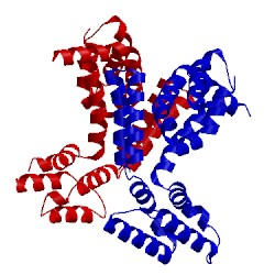 Image of CATH 5cs0