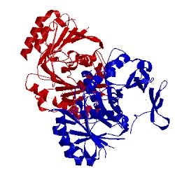 Image of CATH 5cs4