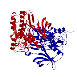 Image of CATH 5cs6