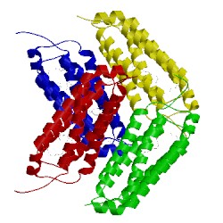 Image of CATH 5csd