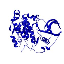 Image of CATH 5csp