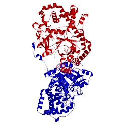 Image of CATH 5csu