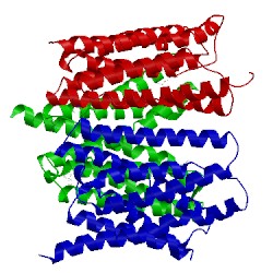 Image of CATH 5ctg