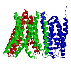 Image of CATH 5cth