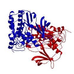 Image of CATH 5ctp
