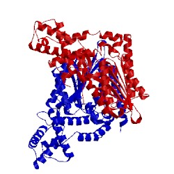 Image of CATH 5cu7