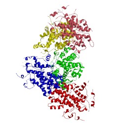 Image of CATH 5cuf