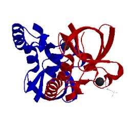 Image of CATH 5cv5