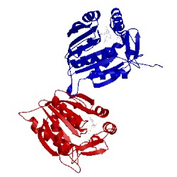 Image of CATH 5cvd