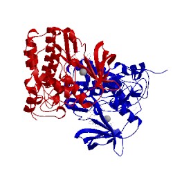 Image of CATH 5cvh