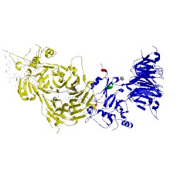 Image of CATH 5cvo