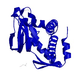 Image of CATH 5cvr
