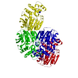 Image of CATH 5cw2