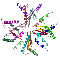 Image of CATH 5cw7