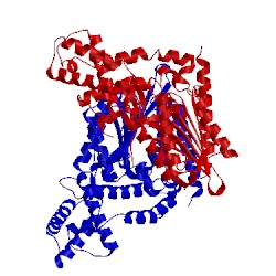 Image of CATH 5cx4
