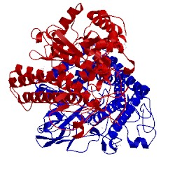 Image of CATH 5cx8