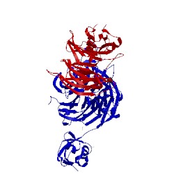 Image of CATH 5cxb