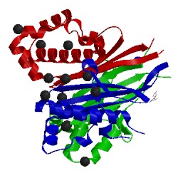 Image of CATH 5cxd