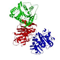 Image of CATH 5cxx