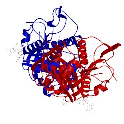 Image of CATH 5cxy