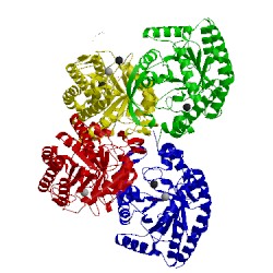 Image of CATH 5d03