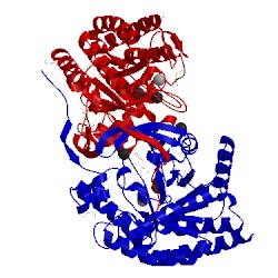 Image of CATH 5d04