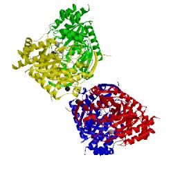 Image of CATH 5d05