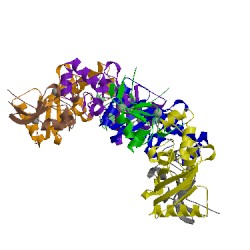 Image of CATH 5d0k