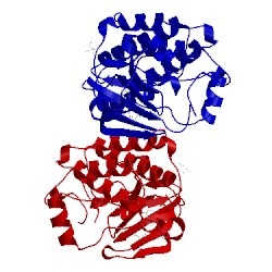 Image of CATH 5d11
