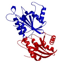 Image of CATH 5d16