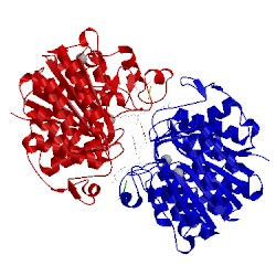 Image of CATH 5d1c