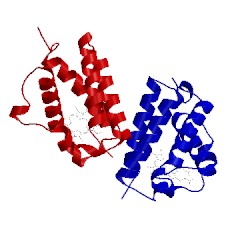 Image of CATH 5d1v