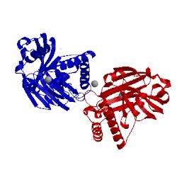 Image of CATH 5d2j