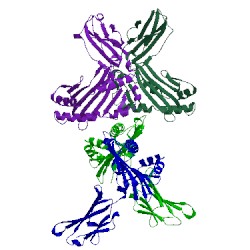Image of CATH 5d2l