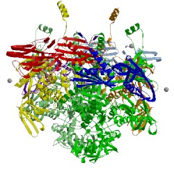 Image of CATH 5d4d