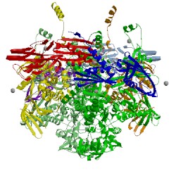 Image of CATH 5d4e