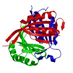 Image of CATH 5d4o