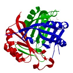 Image of CATH 5d4p