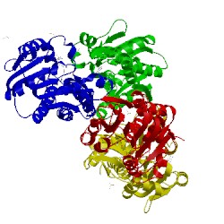 Image of CATH 5d4u
