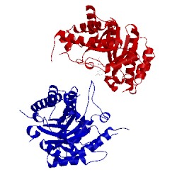 Image of CATH 5d4y