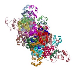 Image of CATH 5d4z