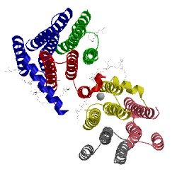 Image of CATH 5d56