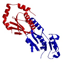 Image of CATH 5d5n